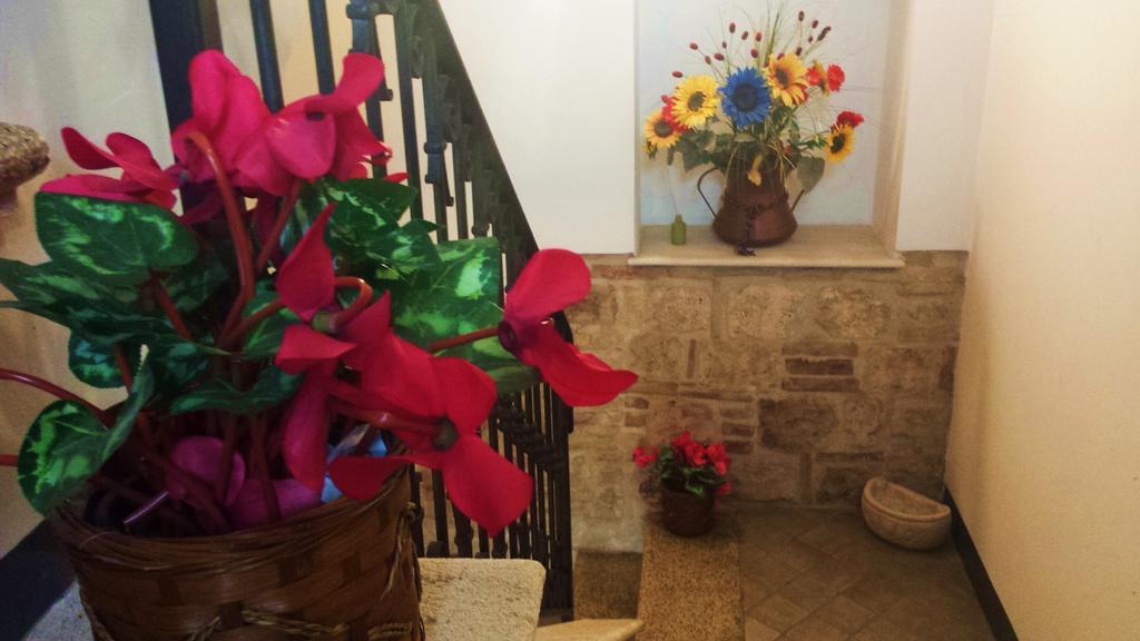 Il Ciclamino Bed And Breakfast Ascoli Piceno Eksteriør bilde